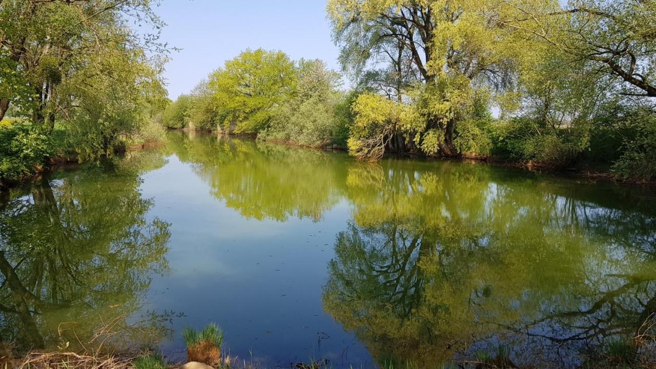 Apartament Haus Blumenfeld-Schwaiger Übersee Zewnętrze zdjęcie
